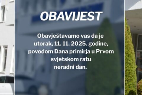 Dan primirja u Prvom svjetskom ratu