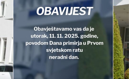 Dan primirja u Prvom svjetskom ratu