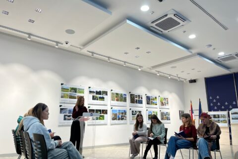 Evropska škola debata