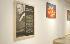 OTVORENA IZLOŽBA BEHAUDIN SELMANOVIĆ – SLIKARSTVO ČISTINE_2